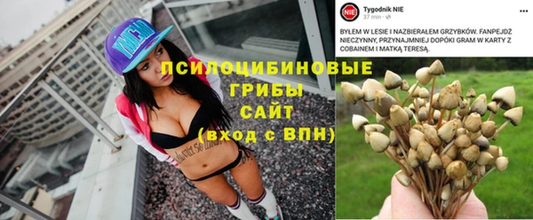 мяу мяу мука Балабаново