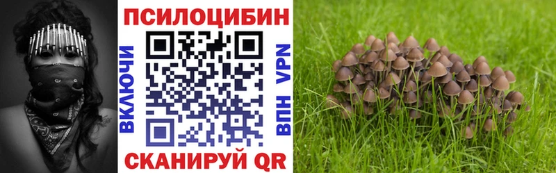 гидра ТОР  Покровск  Галлюциногенные грибы мухоморы  как найти  